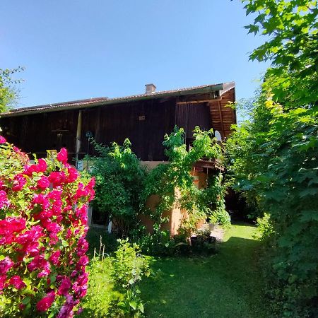 Gemuetliche Ferienwohnung Mit Kamin Und Garten Garmisch-Partenkirchen Exterior foto